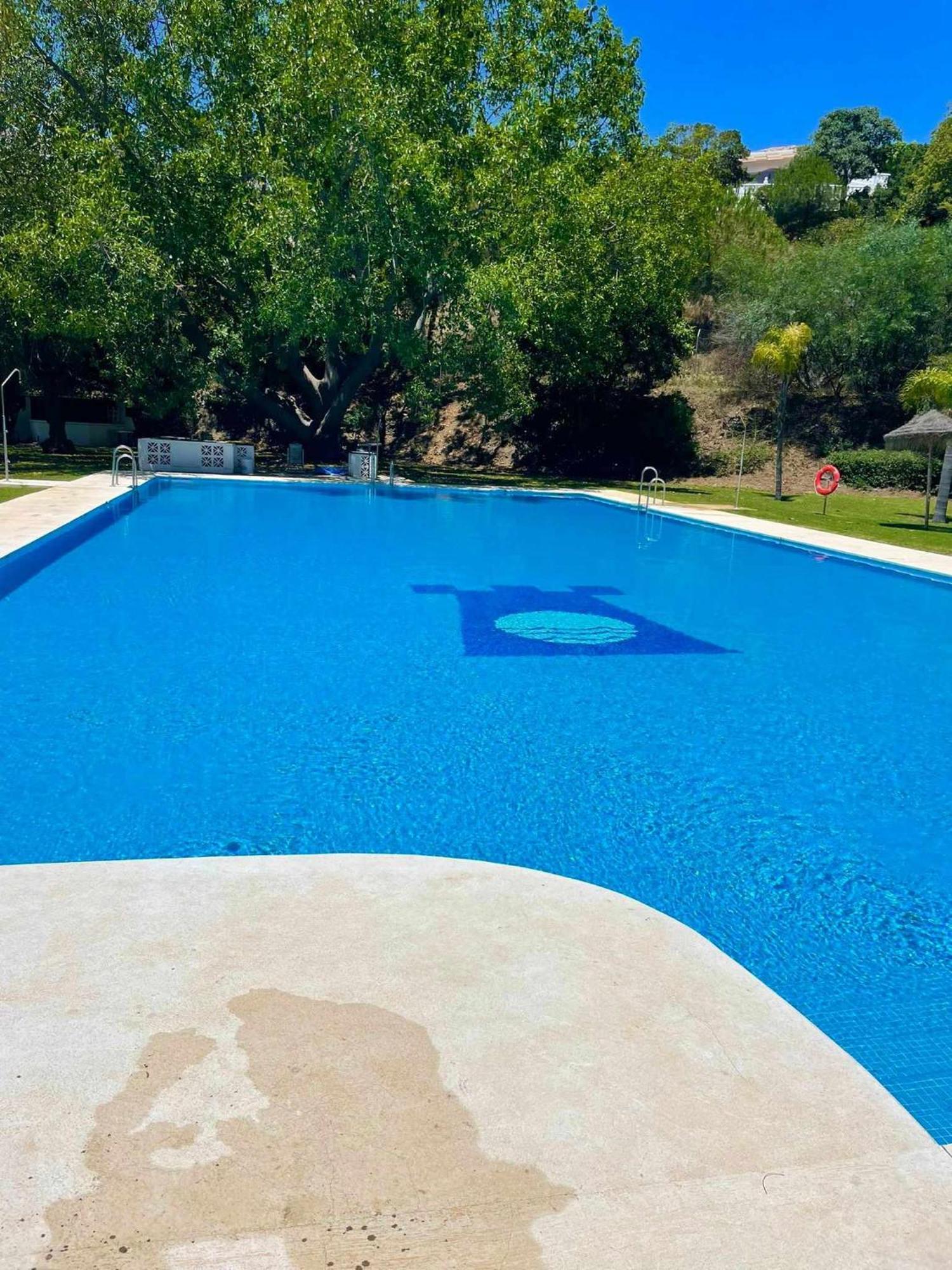 La Villa Escondida 1 Precioso Estudio Vista Al Mar Malaga Ngoại thất bức ảnh